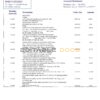 Ireland Bank of Ireland bank statement template in Word and PDF format