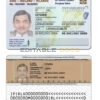 Ireland ID template in PSD format, fully editable, with all fonts