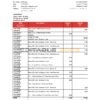 Israel Bank Hapoalim bank statement easy to fill template in .xls and .pdf file format