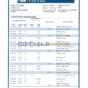 Israel First International Bank of Israel bank statement easy to fill template in Excel and PDF format
