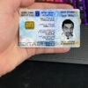 Israel ID template in PSD format, fully editable (+editable PSD photo look)