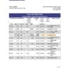 Israel Leumi bank statement Excel and PDF template