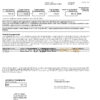 Italy American Express Amex bank card statement Word and PDF template, 3 pages