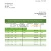 Italy Citibank statement template in .doc and .pdf format, fully editable