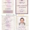 Italy Identity Card (La Carta D’Identita’ Italiana) template in PSD format, fully editable