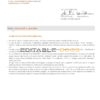 Italy ING bank statement Word and PDF template, 2 pages