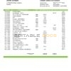 Jamaica Sagicor Bank statement template, Word and PDF format (.doc and .pdf)