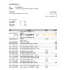 Japan Chiba bank statement Excel and PDF template