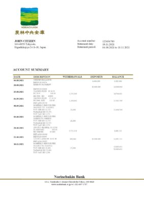 Japan Norinchukin Bank statement template in Word and PDF format