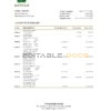 Japan Norinchukin bank statement Excel and PDF template