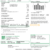Japan S-Energy Japan Co. Ltd. Tokyo Branch utility bill template in Word and PDF format