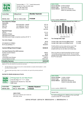 Japan S-Energy Japan Co. Ltd. Tokyo Branch utility bill template in Word and PDF format