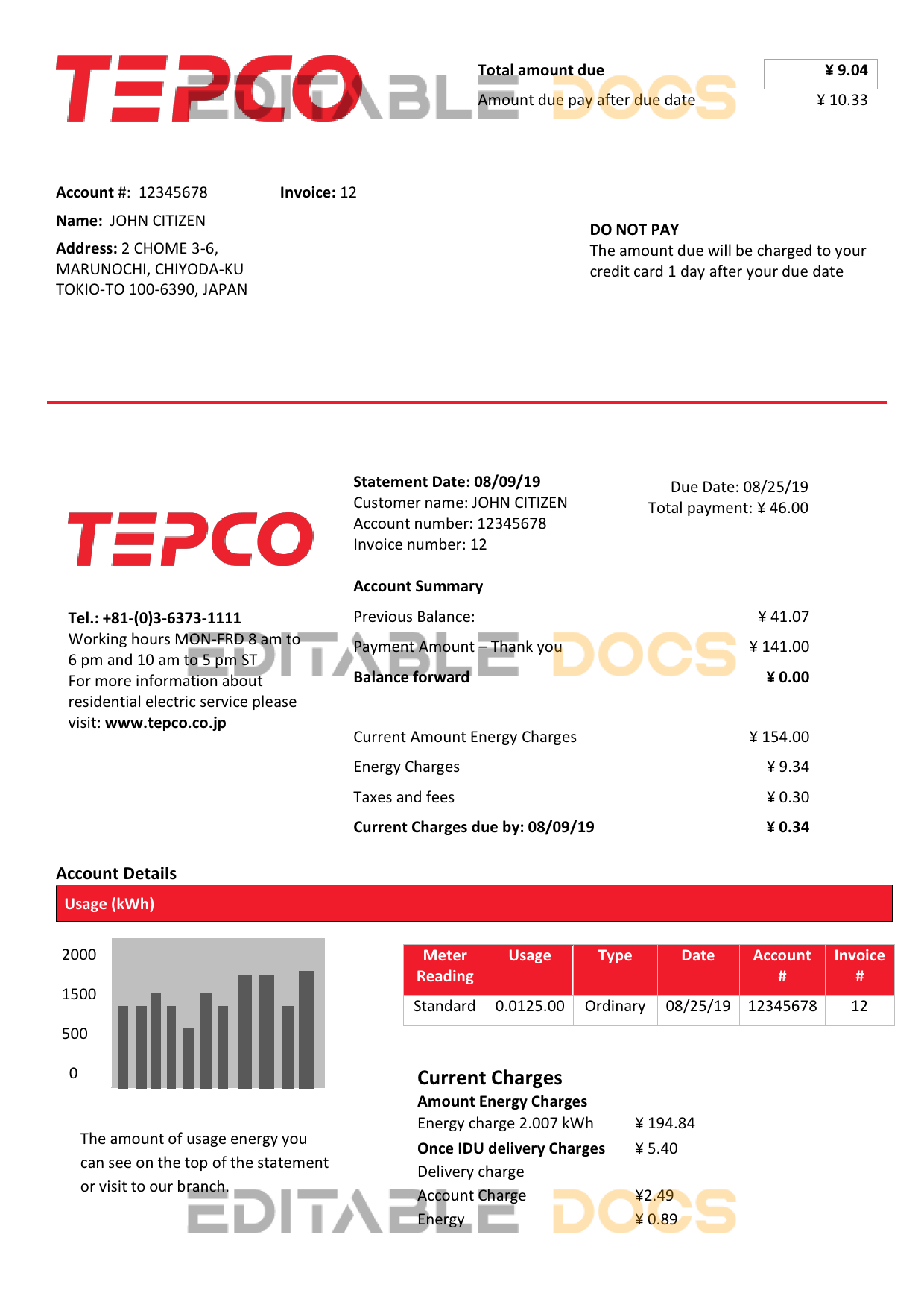 Japan Tokyo Electric Power Company electricity utility bill template in Word and PDF format