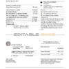 Jordan Jordanian Electric Power Co JEPCO electricity utility bill template in Word and PDF format