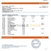 Kazakhstan First Heartland Jusan Bank statement template in Word and PDF format