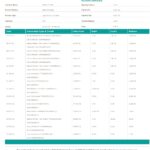 Kenya CBA Loop bank statement, Word and PDF template, 6 pages