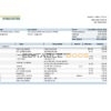 Kyrgyzstan Commercial bank statement Excel and PDF template