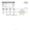 Laos Lao Viet Bank statement template in Word and PDF format