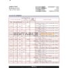 Latvia LPB bank statement Excel and PDF template