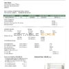 Lebanon Electricity of Lebanon utility bill template in Word and PDF format