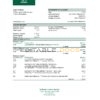 Lesotho Nedbaank bank statement Excel and PDF template