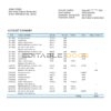 Liberia Access Bank statement template in Word and PDF format