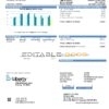 USA California Liberty Utilities utility bill template in Word and PDF format