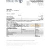 Libya Jumhouria bank statement Excel and PDF template