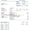 Liechtenstein Ische Kraftwerke (LKW) electricity utility bill template in Word and PDF format