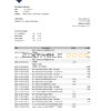 Liechtenstein LGT bank statement Excel and PDF template