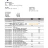 Liechtenstein LGT bank statement template in Word and PDF format