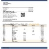 Liechtenstein Valartis bank statement template in Word and PDF format