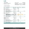 Lithuania DNB bank statement Excel and PDF template