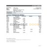 Lithuania Danske bank statement Excel and PDF template