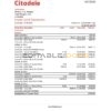 Lithuania (Litva) Citadele bank credit card statement template in Excel and PDF format