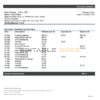 Lithuania (Litva) Danske bank statement template in Word and PDF format