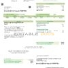USA Ohio Lorain-Medina Rural Electric utility bill template in Word and PDF format