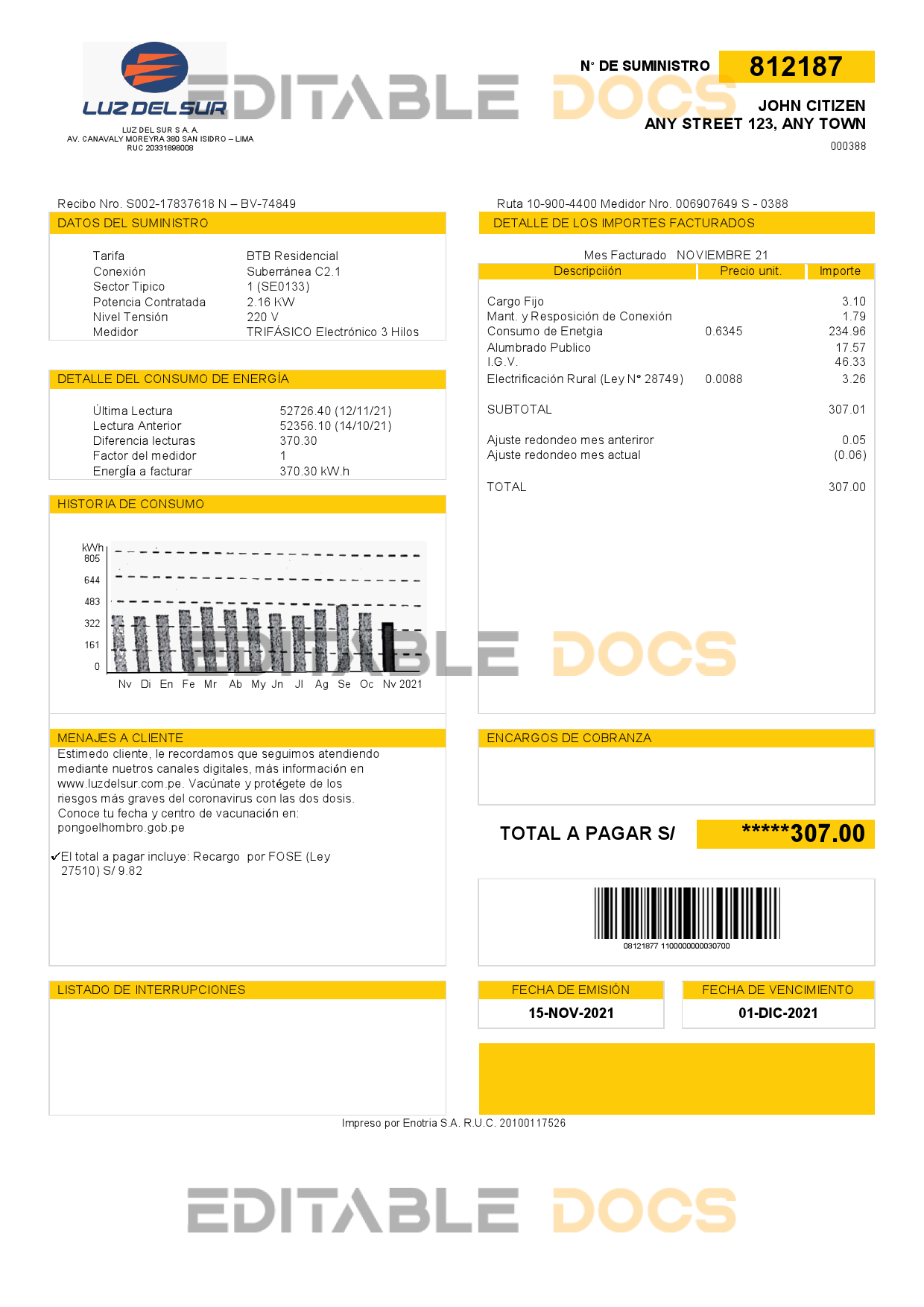 Peru Luz de Sur utility bill template in Word and PDF format, fully editable