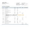 Macedonia Halkbank bank statement template in Word and PDF format
