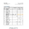 Madagascar Bank of Africa bank statement Excel and PDF template