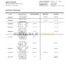 Madagascar Bank of Africa bank statement template in Word and PDF format