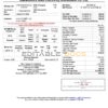 India Mahavitaran Co Ltd utility bill template in Word and PDF format