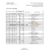 Malawi NBS bank statement Excel and PDF template