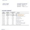 Malawi National Bank of Malawi bank statement template in Word and PDF format