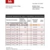 Maldives Bank of Maldives bank statement template in Word and PDF format