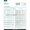 Maldives HBL bank statement Excel and PDF template