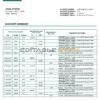 Maldives HBL bank statement template in Word and PDF format