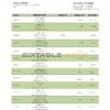 Malta APS bank statement template in Word and PDF format