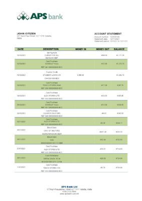 Malta APS bank statement template in Word and PDF format