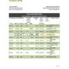Marshall Islands Bank of Guam bank statement Excel and PDF template